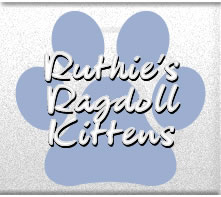 Ruthie's Ragdoll Kittens